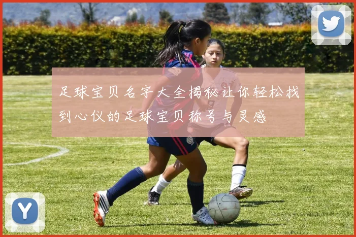 足球宝贝名字大全揭秘让你轻松找到心仪的足球宝贝称号与灵感
