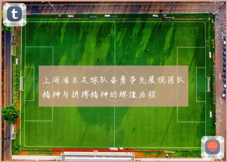 上海浦东足球队奋勇争先展现团队精神与拼搏精神的辉煌历程