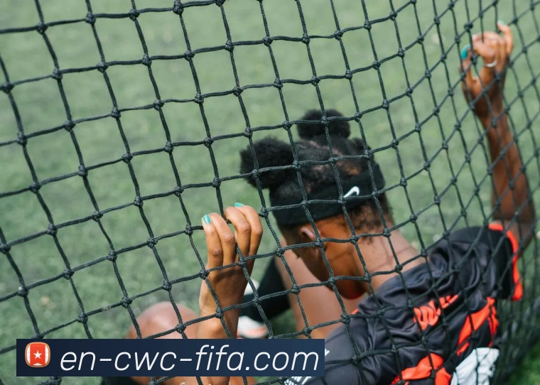 线上买球全站App